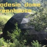 Geodesic dome tent in greenhouse agricultural